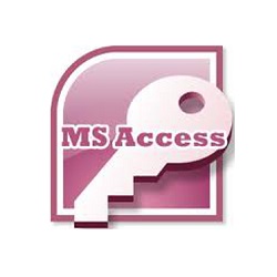 Microsoft SQL Access Programmer Louisiana